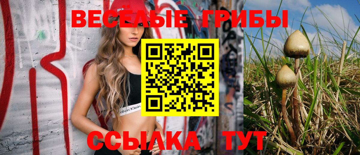 Галлюциногенные грибы GOLDEN TEACHER Алатырь