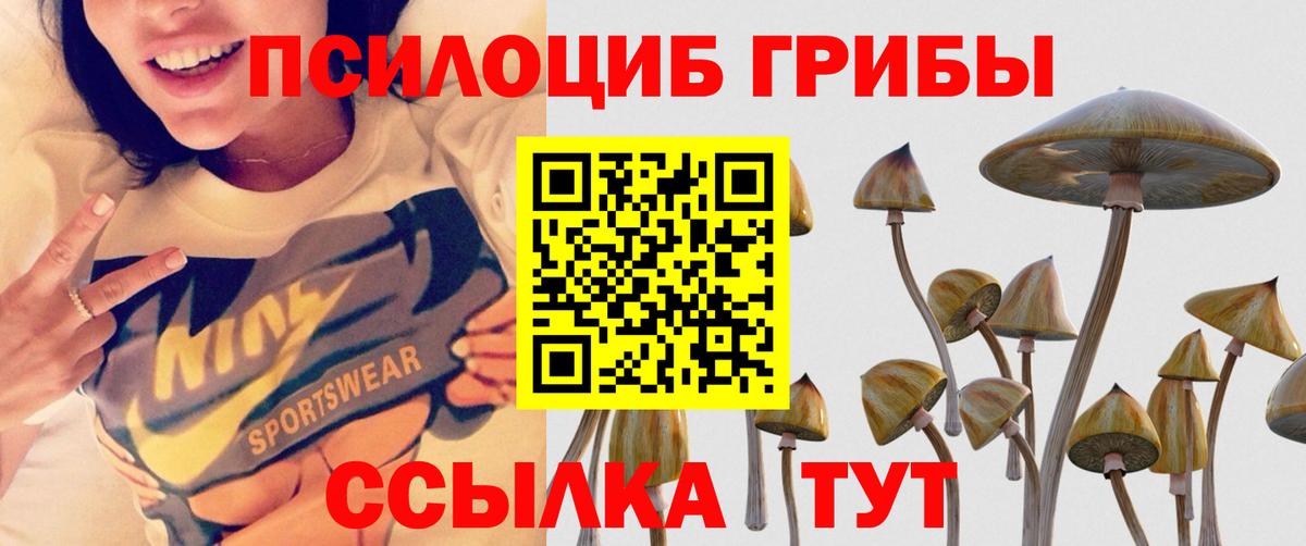 Галлюциногенные грибы Psilocybe  Вход с VPN  наркошоп  Алатырь 